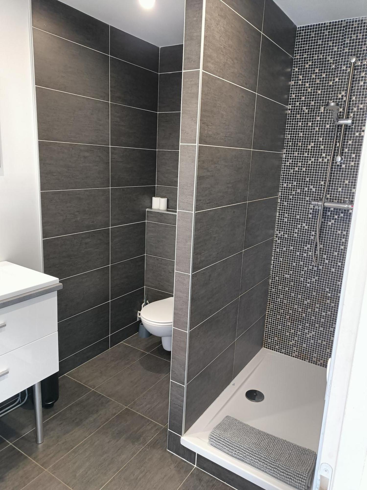 Appartement 30 M2 Neuf + Terrasse Brindas Ngoại thất bức ảnh